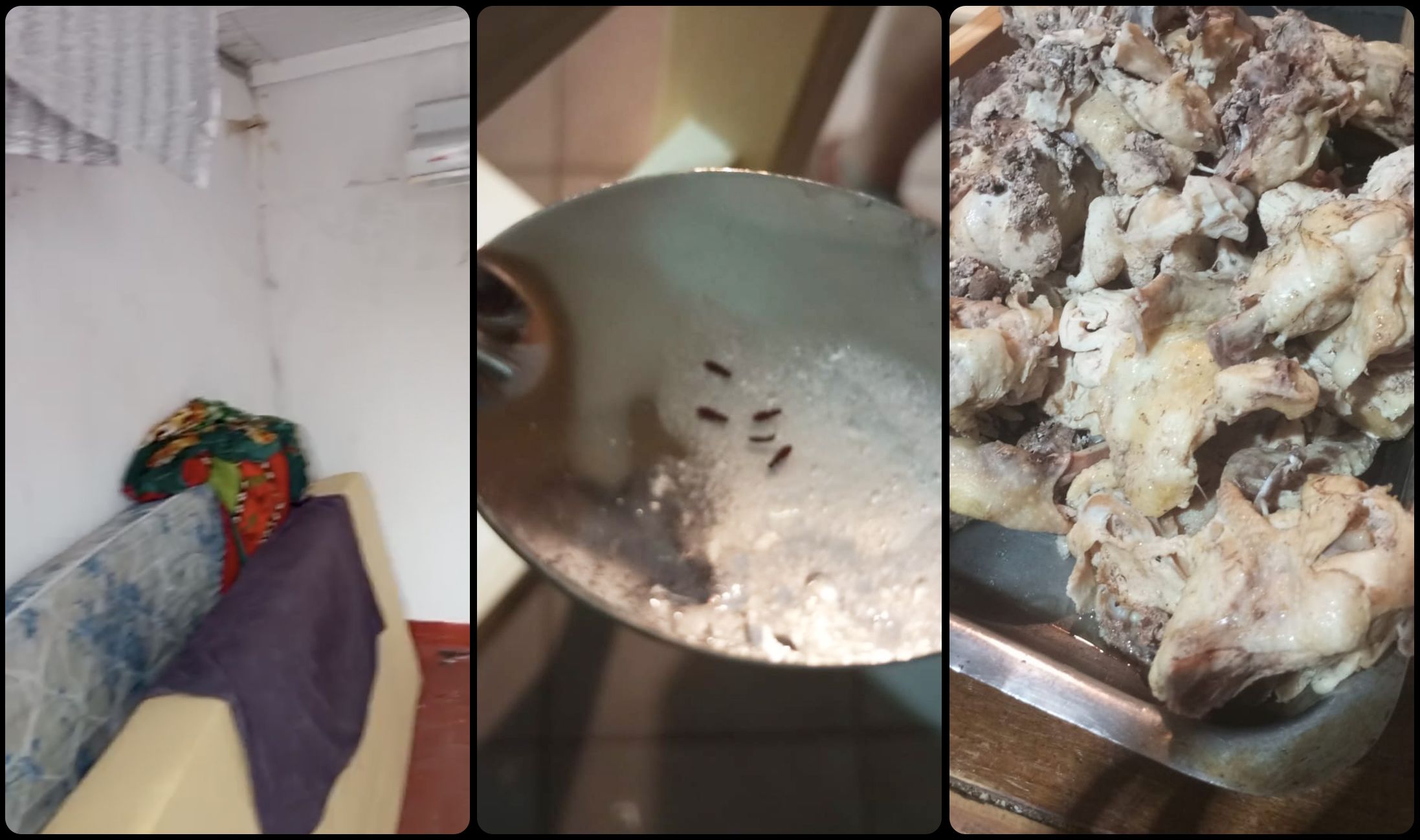 阿根廷足球青训阴影：梦想工厂背后的残酷体系
